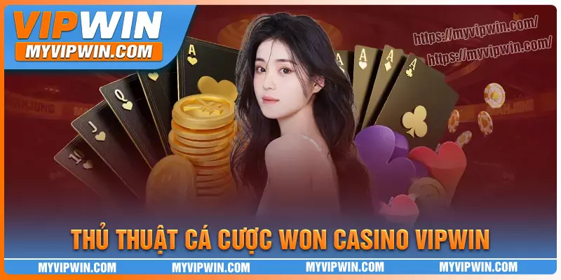 Chiến thuật cá cược won casino cực hay cho bet thủ