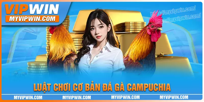 Hướng dẫn luật chơi đá gà campuchia từ a - z